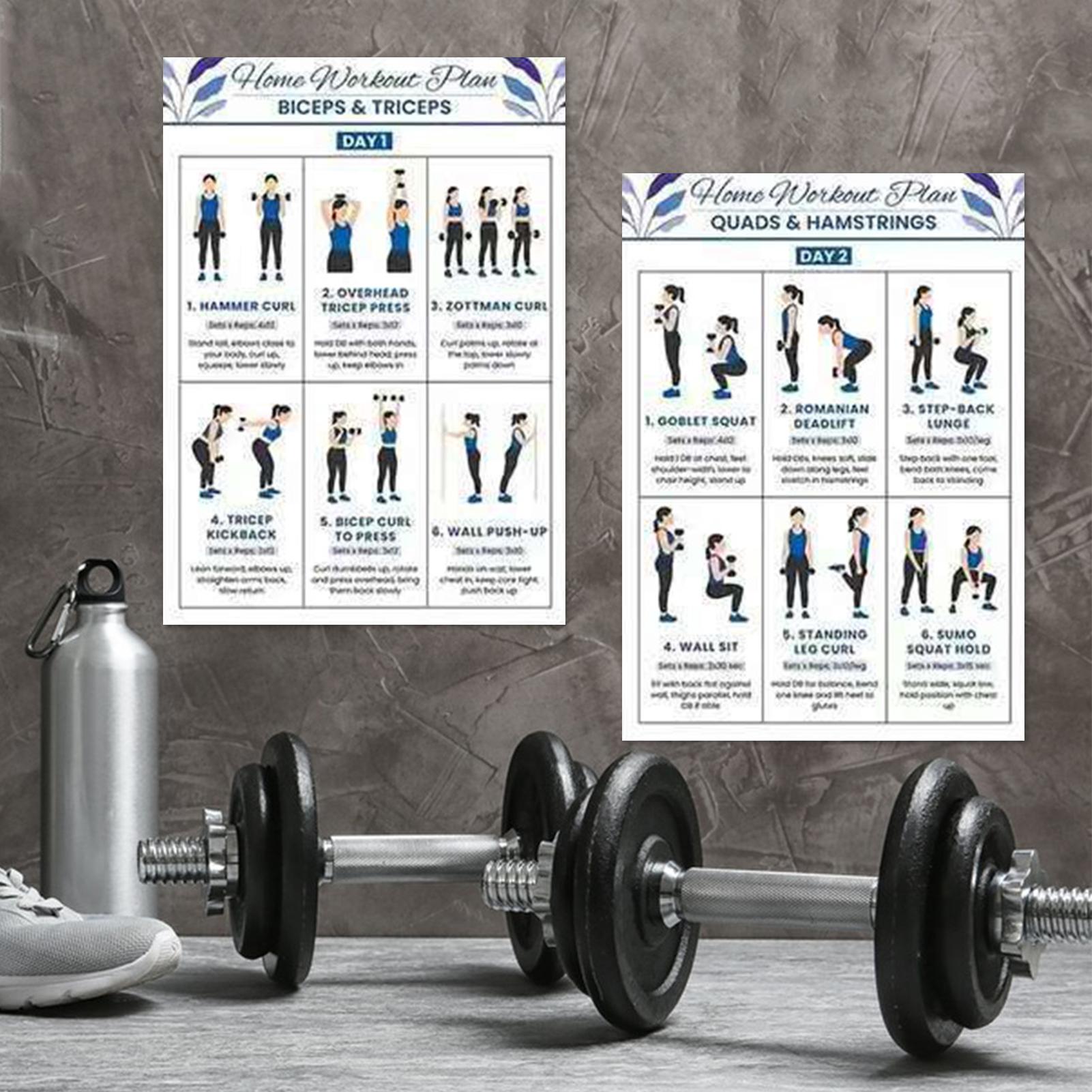 Workout Chart Full Body Comple - Home Gym Routine 리뷰 및 가격