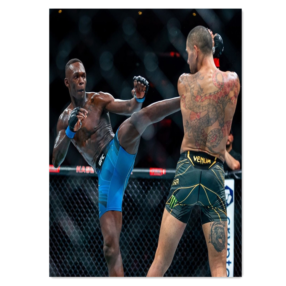Boxing Bodybuilder Canvas Pain - Home Gym Wallpaper 리뷰 및 가격