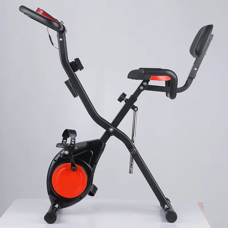 Home Gym Magnetron Exercise Bi - Home Gym Routine 리뷰 및 가격