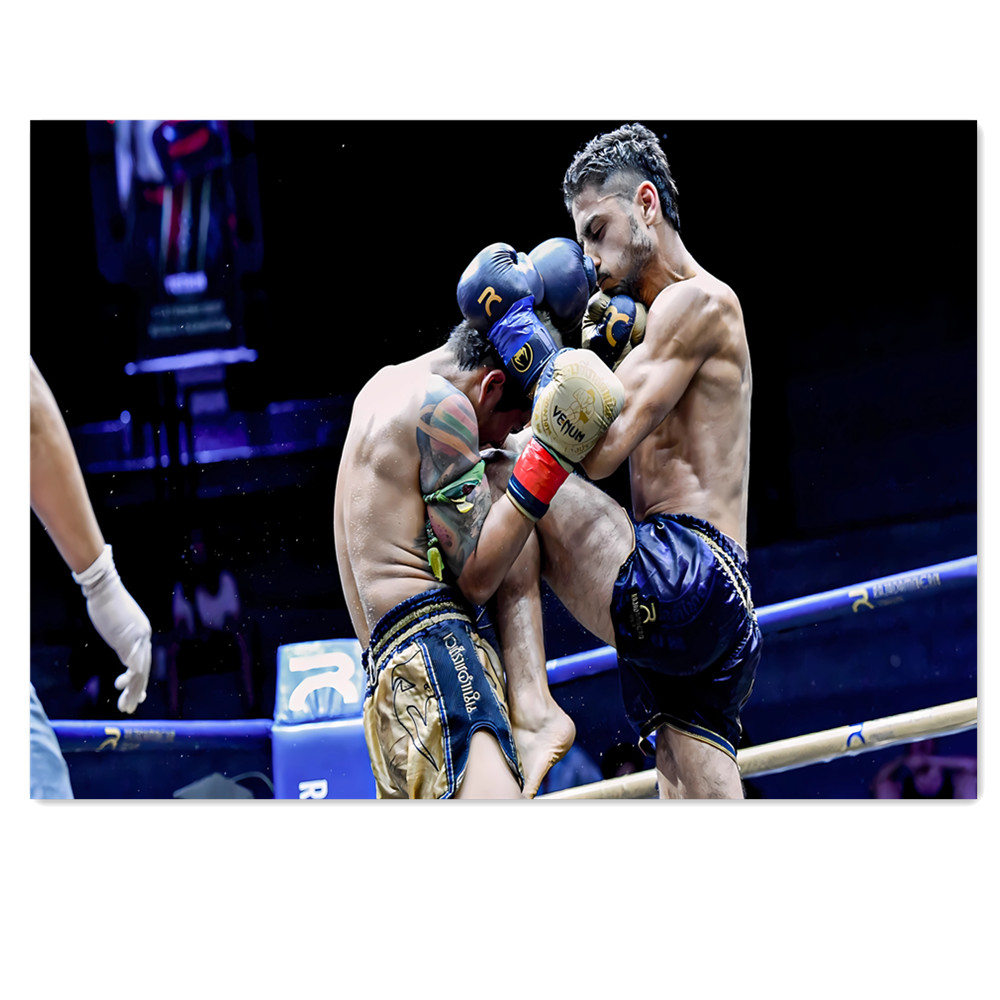 Fun Boxing Canvas Painting, Ma - Home Gym Wallpaper 리뷰 및 가격