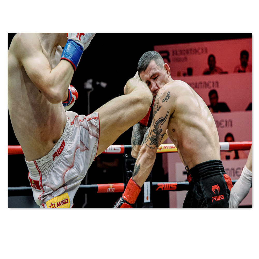 Muay Thai Stadium Canvas Paint - Home Gym Wallpaper 리뷰 및 가격