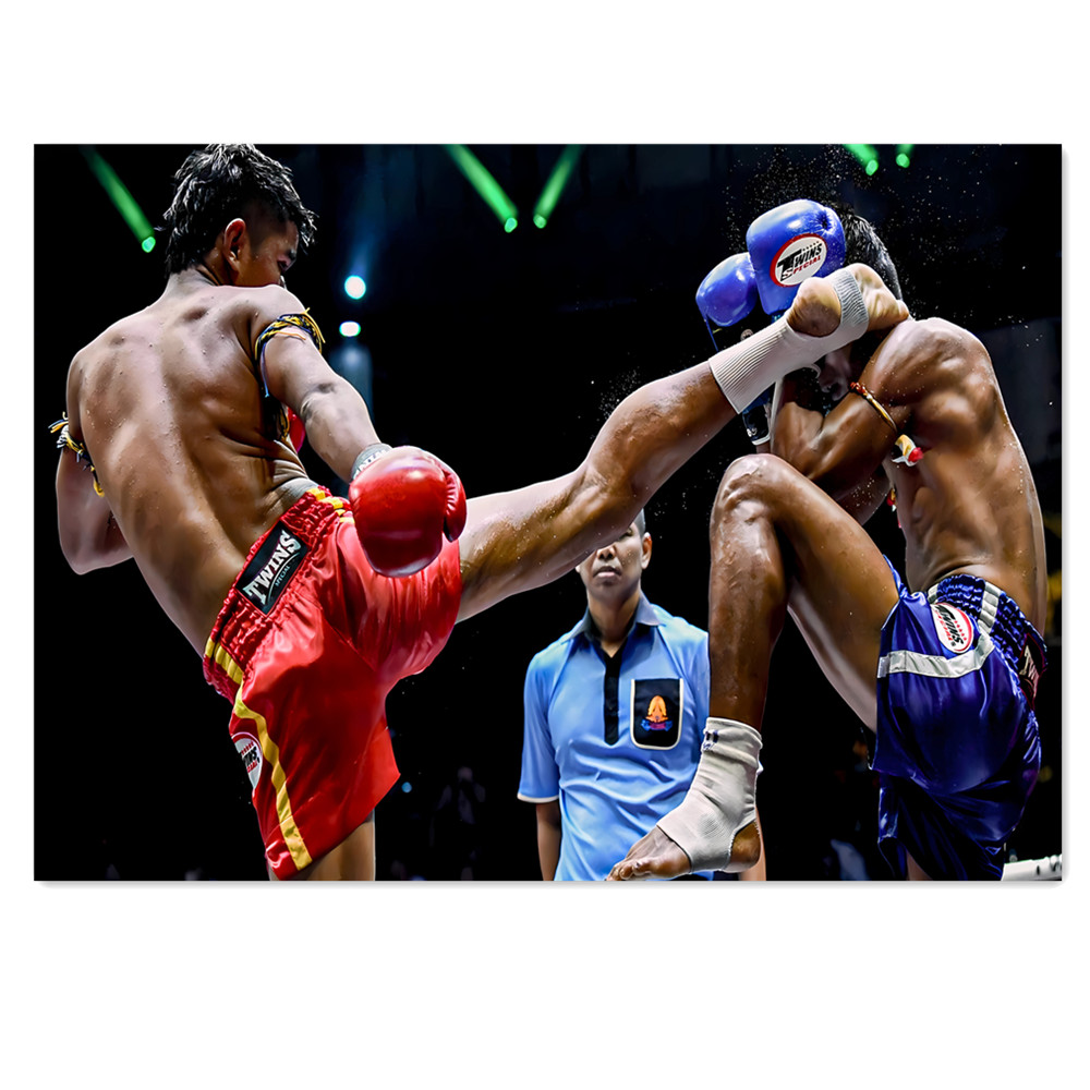 Muay Thai Kick Canvas Painting - Home Gym Wallpaper 리뷰 및 가격