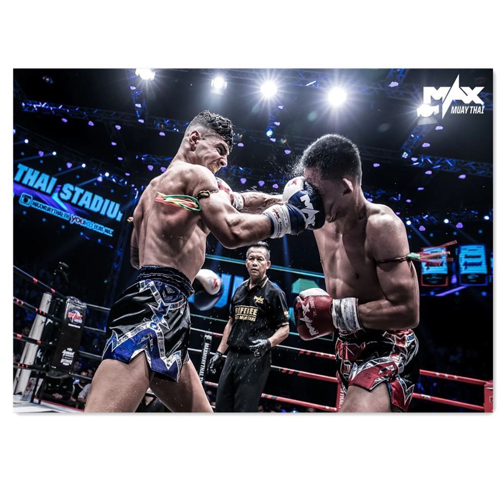 Watercolor Boxing Canvas Paint - Home Gym Wallpaper 리뷰 및 가격