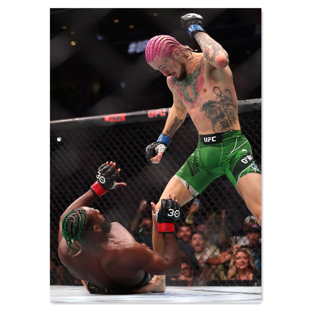 Boxing Canvas Painting Wall Ar - Home Gym Wallpaper 리뷰 및 가격